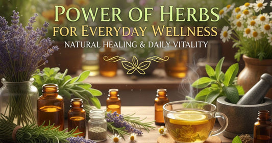 Power of Herbs for Everyday Wellness Natural Healing & Daily Vitality